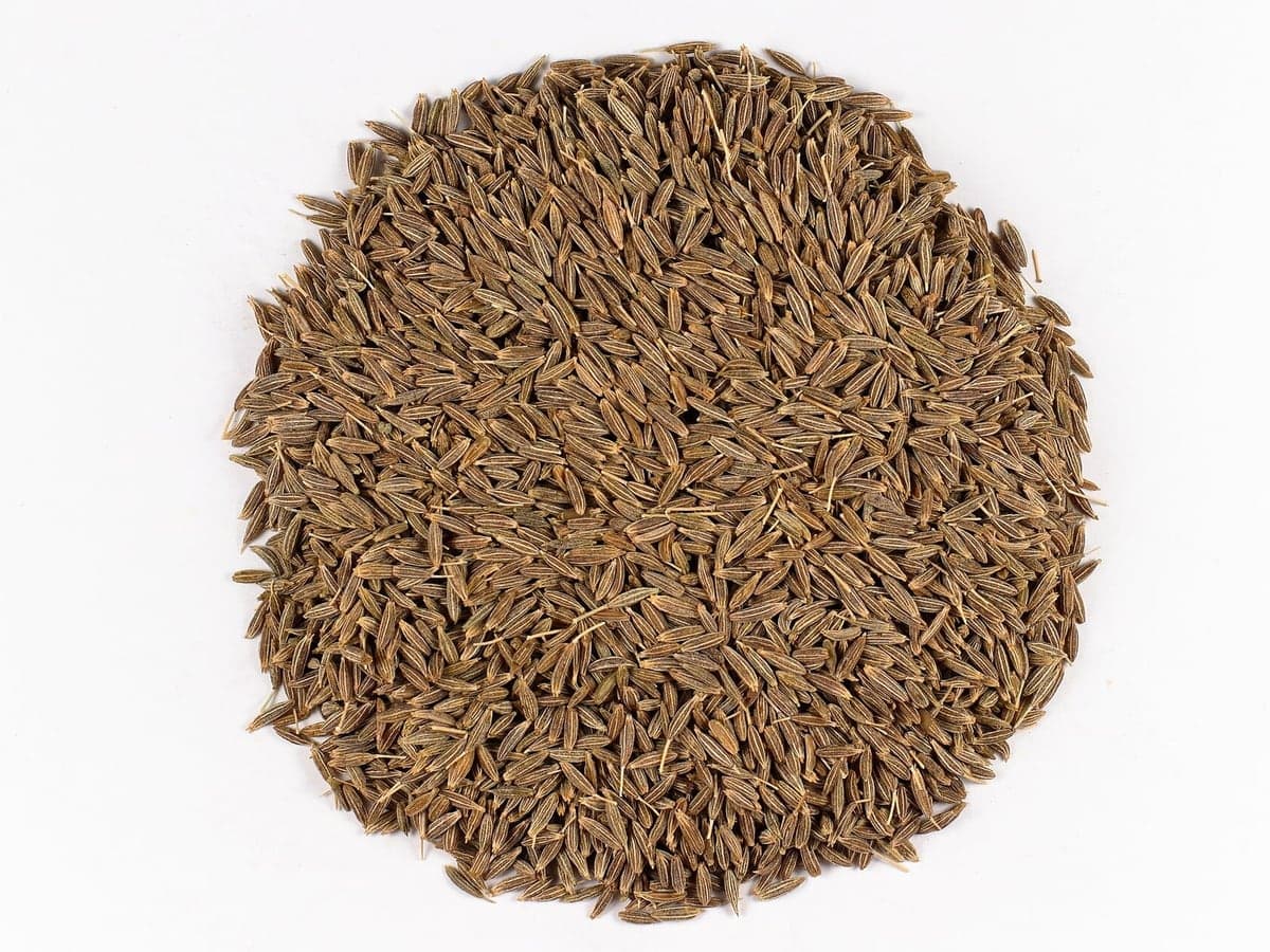 Whole cumin seeds presented for B2B buyers